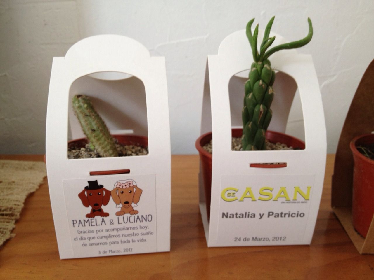 Suculentas en envase personalizado para matrimonios