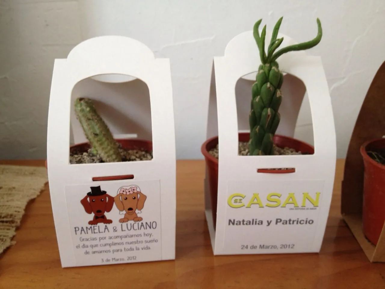 Suculentas en envase personalizado para matrimonios