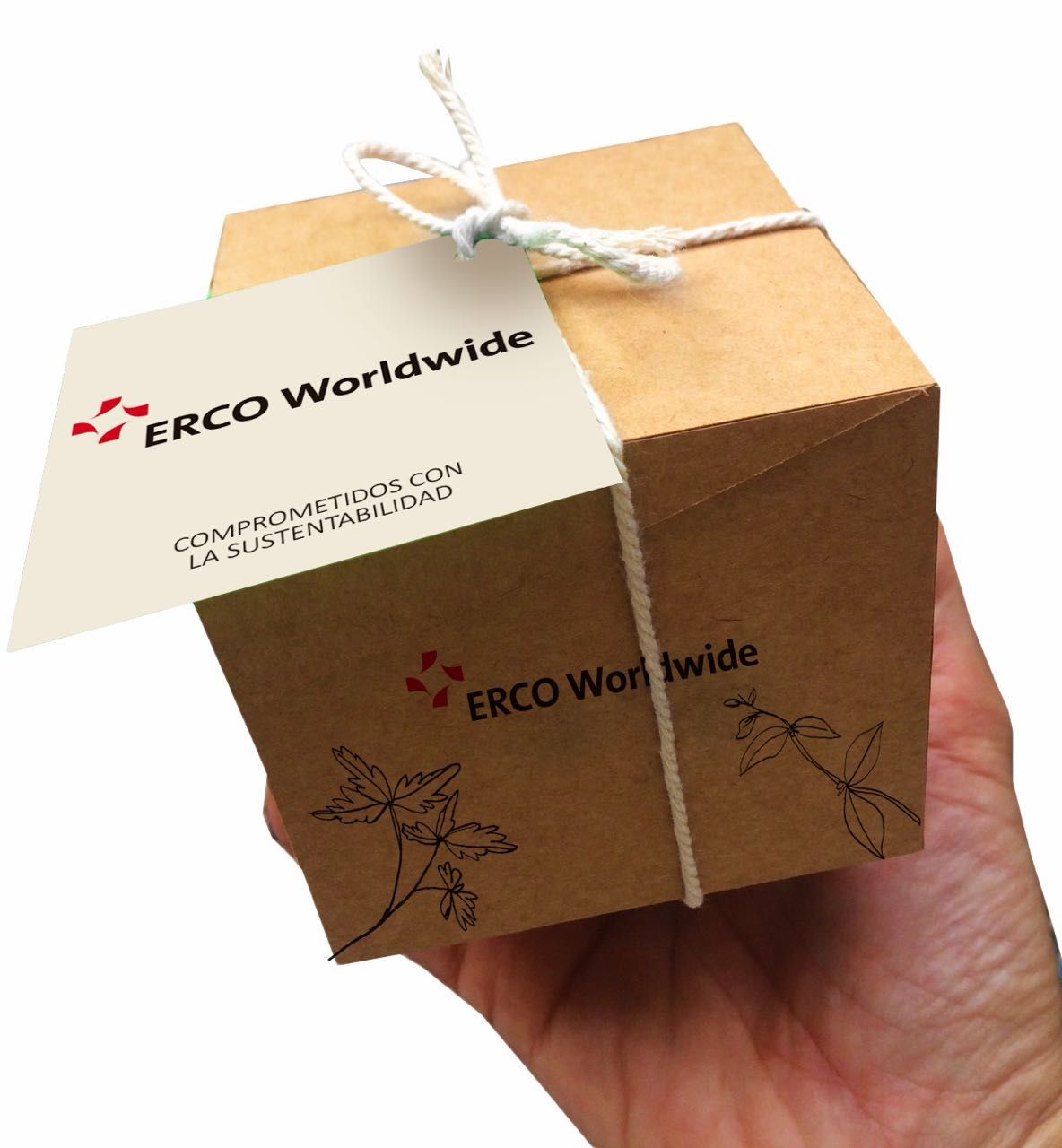 Set de cultivo personalizado para ERCO Worldwide
