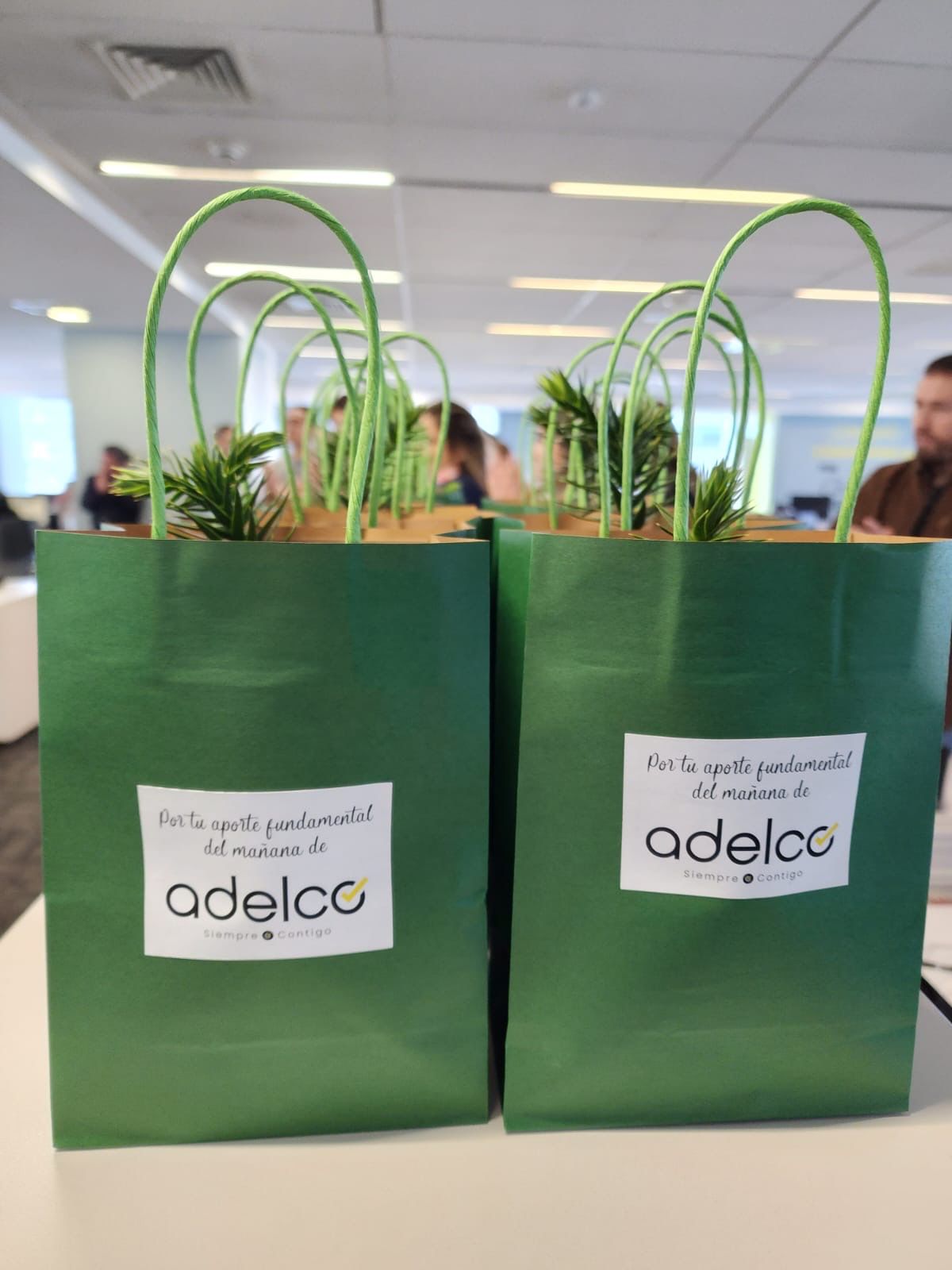 Plantas en bolsa verde personalizada para Adelco