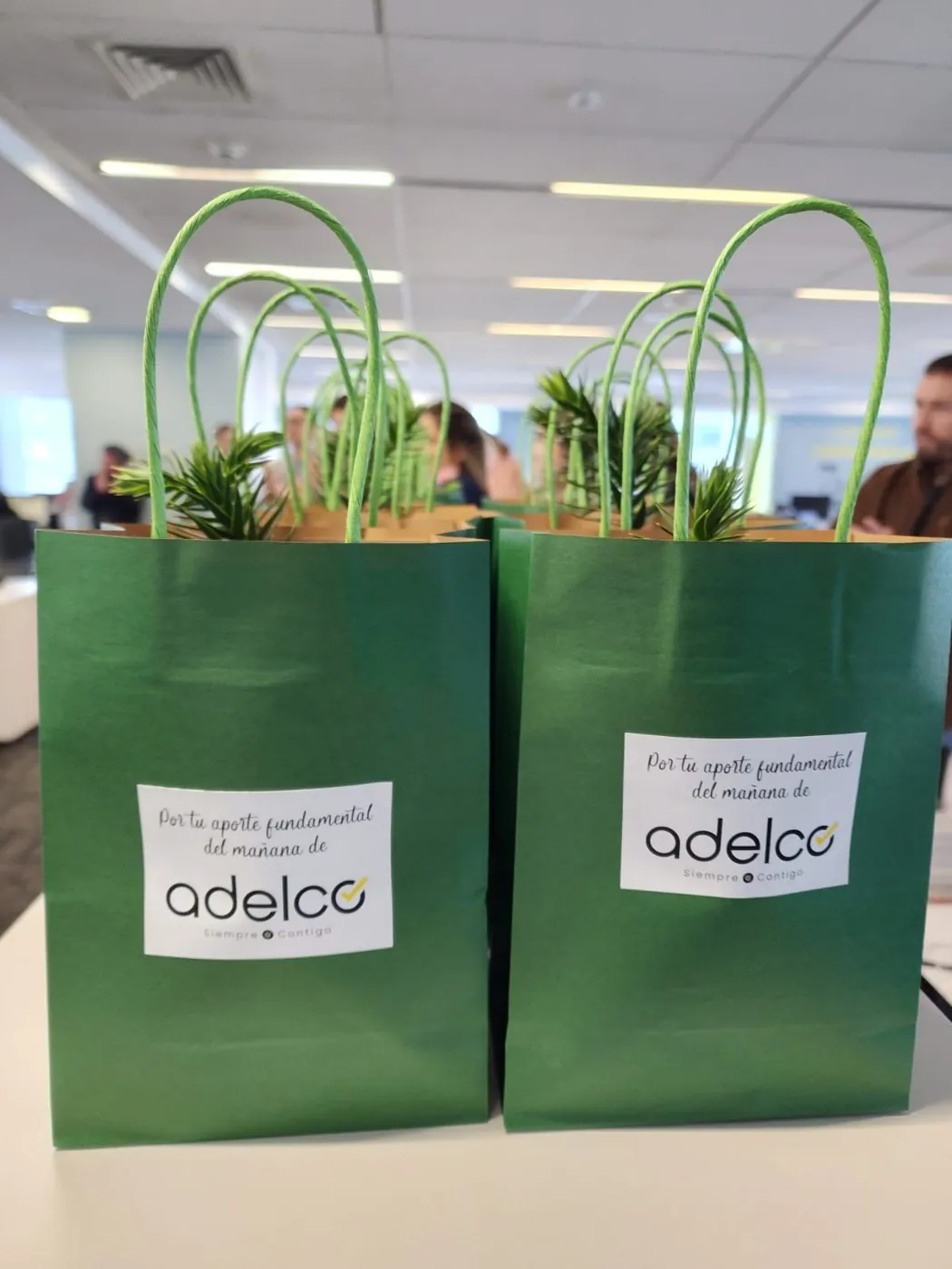 Bolsas con plantas personalizadas para evento corporativo de Adelco