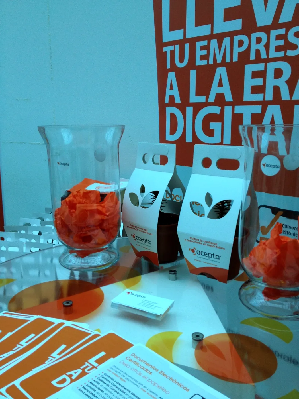 Detalle de envases tres hojas con la marca Acepta sobre el mesón del stand