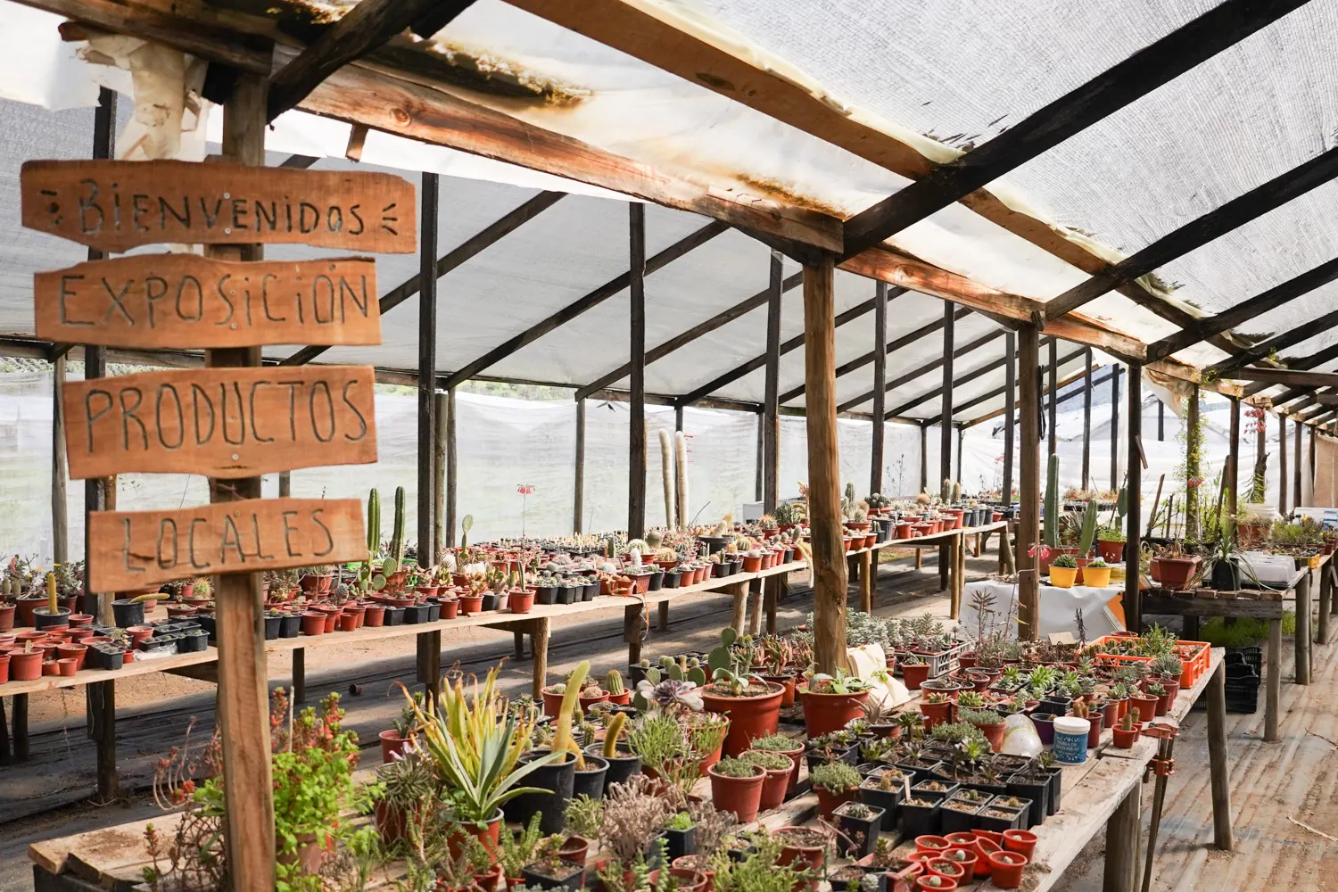 La entrada a nuestro vivero