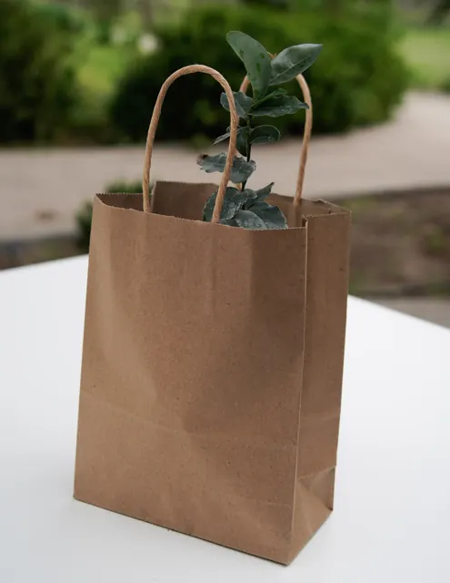 Árbol Nativo Papel Kraft sin Pincho
