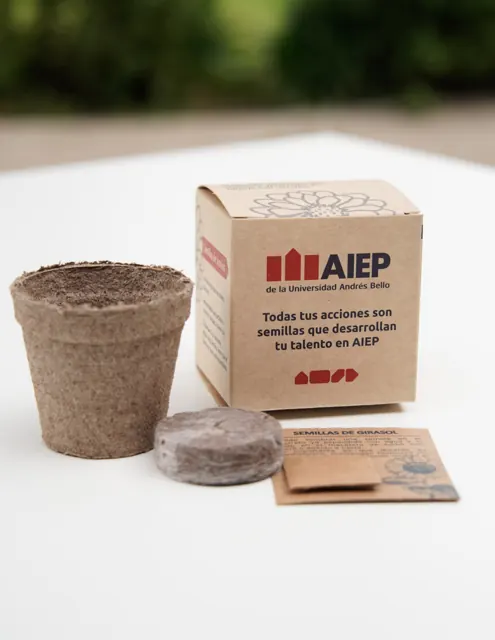Kit siembra en caja kraft