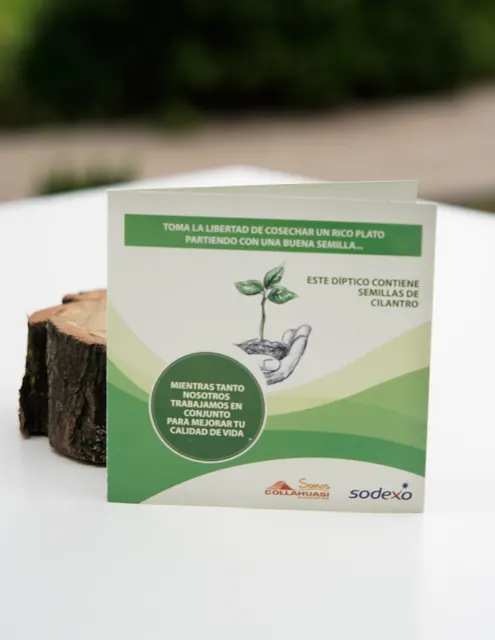 Díptico con Semillas de Caléndula