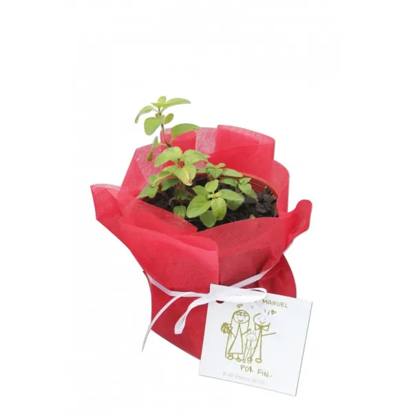Condimento o Flor en Papel de Arroz